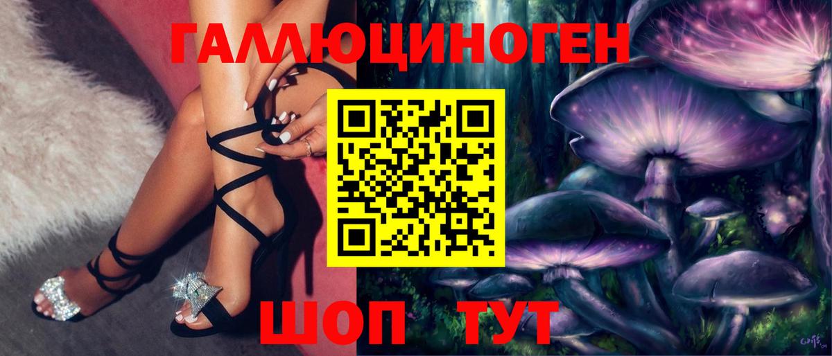 Галлюциногенные грибы Psilocybe Петрозаводск