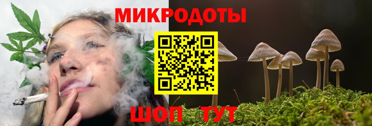 Петрозаводск  Галлюциногенные грибы Psilocybine cubensis  Вход с VPN 